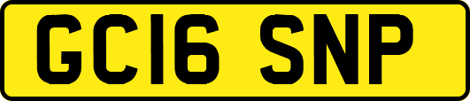 GC16SNP