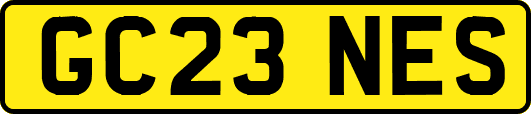 GC23NES