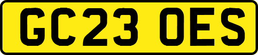 GC23OES