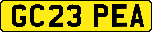 GC23PEA
