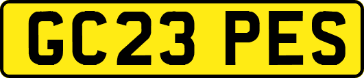 GC23PES
