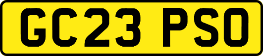 GC23PSO