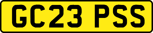 GC23PSS