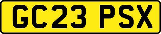 GC23PSX