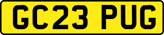 GC23PUG