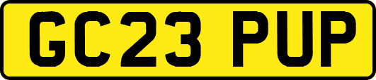 GC23PUP