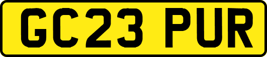 GC23PUR