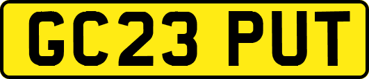 GC23PUT