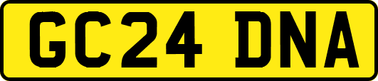 GC24DNA