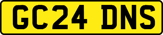 GC24DNS