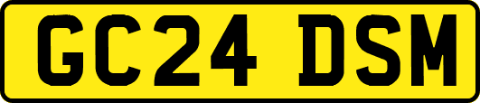 GC24DSM
