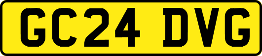 GC24DVG