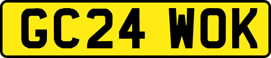 GC24WOK