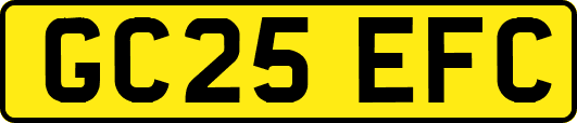 GC25EFC