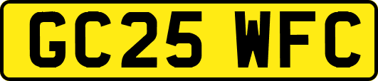 GC25WFC