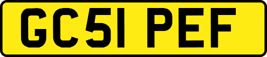 GC51PEF