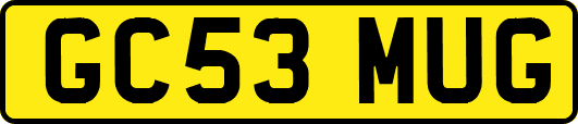 GC53MUG