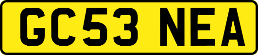 GC53NEA