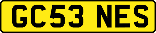 GC53NES