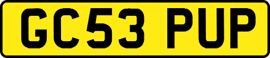 GC53PUP