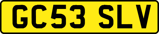 GC53SLV
