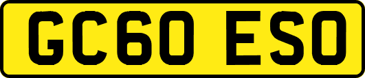 GC60ESO