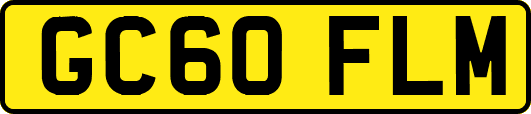 GC60FLM