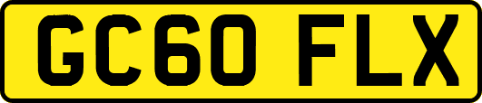 GC60FLX