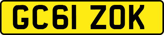GC61ZOK