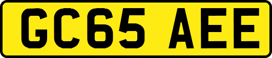 GC65AEE