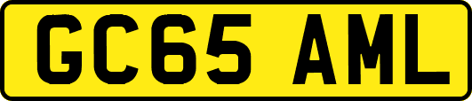 GC65AML