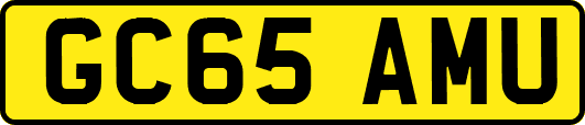 GC65AMU