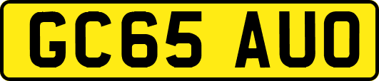 GC65AUO