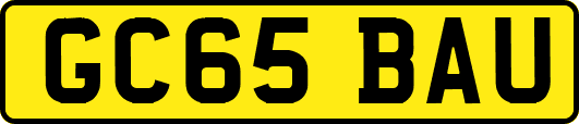 GC65BAU