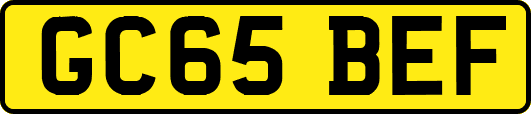 GC65BEF