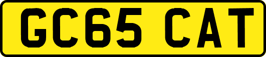 GC65CAT