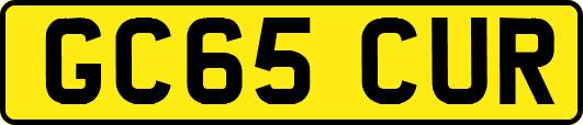 GC65CUR