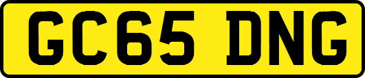 GC65DNG