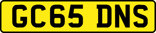 GC65DNS