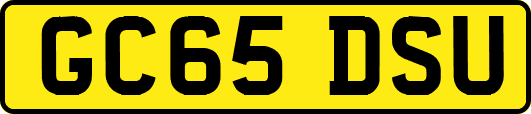 GC65DSU