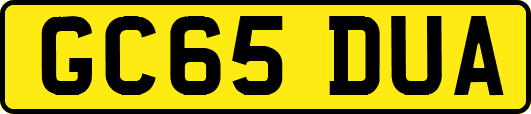 GC65DUA