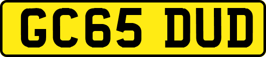 GC65DUD
