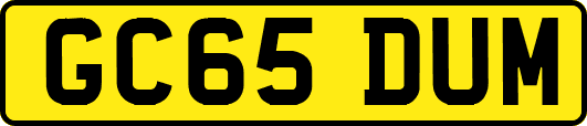 GC65DUM