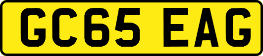 GC65EAG