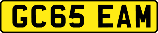 GC65EAM