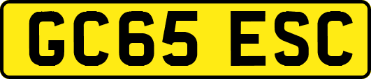GC65ESC