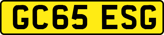 GC65ESG