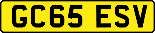 GC65ESV