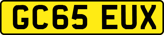 GC65EUX