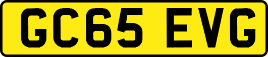 GC65EVG